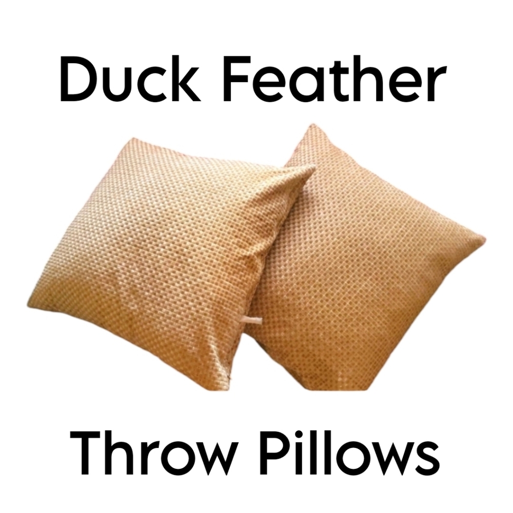 🤎 Two Moroccan Style Duck Feathered Velvet Throw Pillows